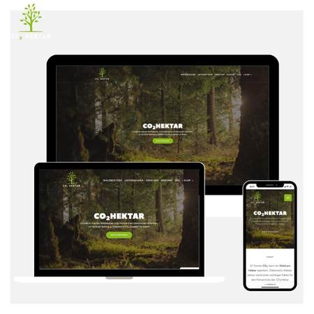 Website erstellen lassen Wien